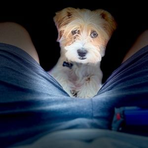 Meet your Posher, Kelly